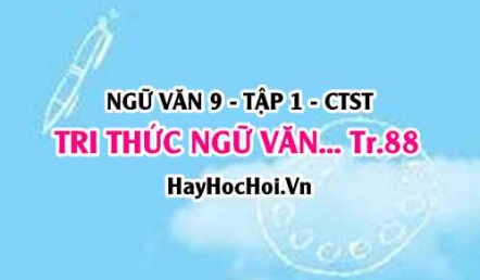 Soạn bài Tri thức Ngữ Văn trang 88 lớp 9 tập 1 Chân trời sáng tạo